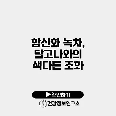 항산화 녹차, 달고나와의 색다른 조화