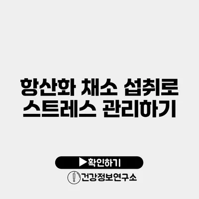 항산화 채소 섭취로 스트레스 관리하기