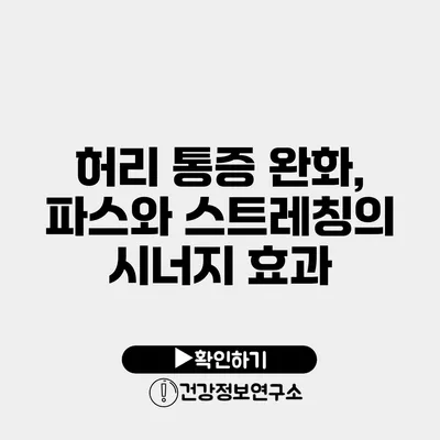 허리 통증 완화, 파스와 스트레칭의 시너지 효과