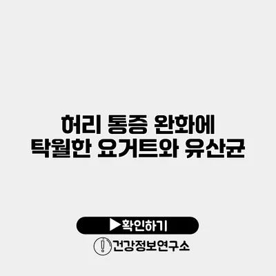 허리 통증 완화에 탁월한 요거트와 유산균