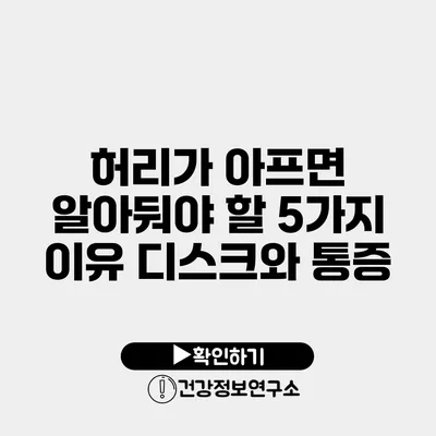 허리가 아프면 알아둬야 할 5가지 이유 디스크와 통증