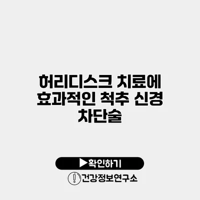 허리디스크 치료에 효과적인 척추 신경 차단술