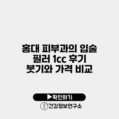 홍대 피부과의 입술 필러 1cc 후기 붓기와 가격 비교