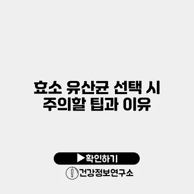 효소 유산균 선택 시 주의할 팁과 이유