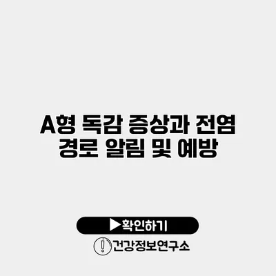 A형 독감 증상과 전염 경로 알림 및 예방