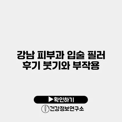 강남 피부과 입술 필러 후기 붓기와 부작용
