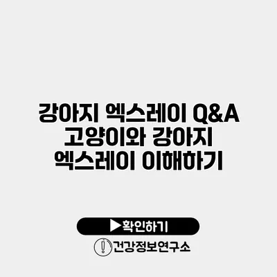강아지 엑스레이 Q&A 고양이와 강아지 엑스레이 이해하기