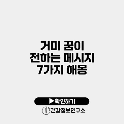 거미 꿈이 전하는 메시지 7가지 해몽