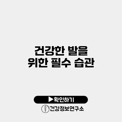 건강한 발을 위한 필수 습관
