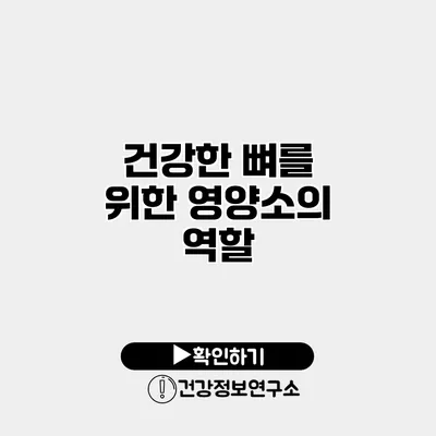 건강한 뼈를 위한 영양소의 역할