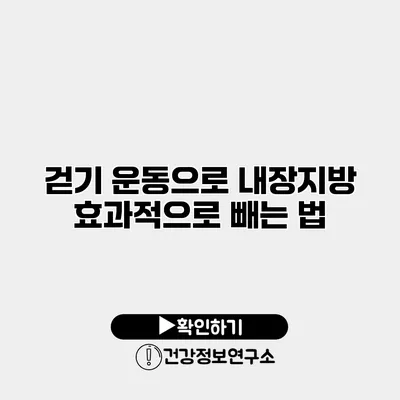 걷기 운동으로 내장지방 효과적으로 빼는 법