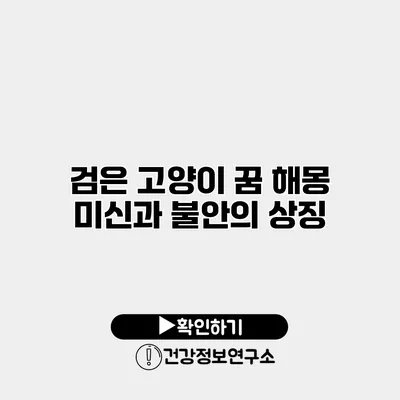 검은 고양이 꿈 해몽 미신과 불안의 상징