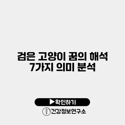 검은 고양이 꿈의 해석 7가지 의미 분석