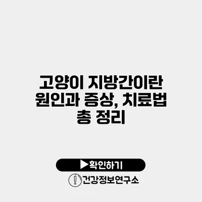 고양이 지방간이란? 원인과 증상, 치료법 총 정리