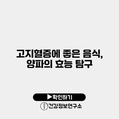 고지혈증에 좋은 음식, 양파의 효능 탐구