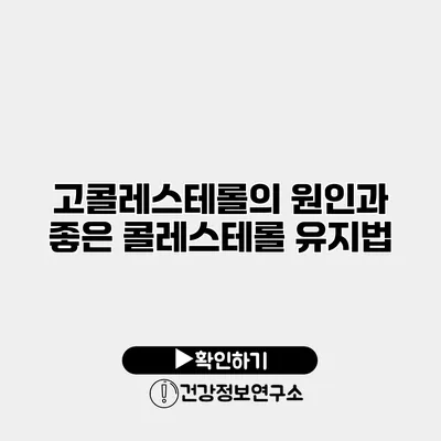 고콜레스테롤의 원인과 좋은 콜레스테롤 유지법