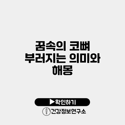 꿈속의 코뼈 부러지는 의미와 해몽