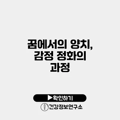 꿈에서의 양치, 감정 정화의 과정