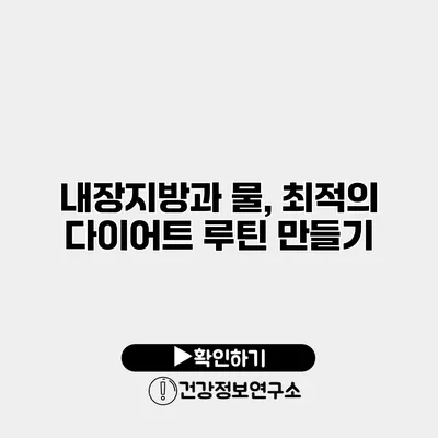 내장지방과 물, 최적의 다이어트 루틴 만들기