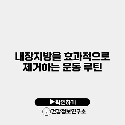 내장지방을 효과적으로 제거하는 운동 루틴
