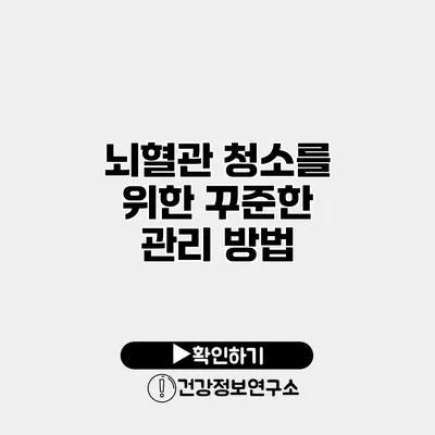 뇌혈관 청소를 위한 꾸준한 관리 방법
