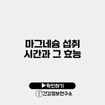 마그네슘 섭취 시간과 그 효능