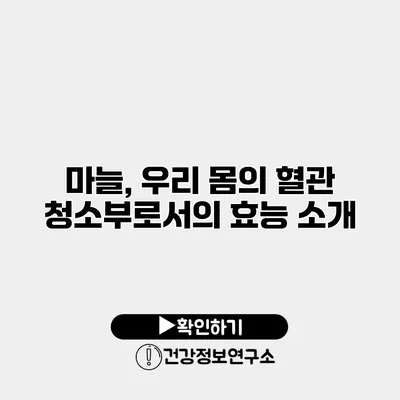 마늘, 우리 몸의 혈관 청소부로서의 효능 소개
