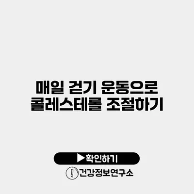 매일 걷기 운동으로 콜레스테롤 조절하기