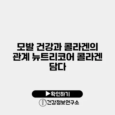 모발 건강과 콜라겐의 관계 뉴트리코어 콜라겐 담다