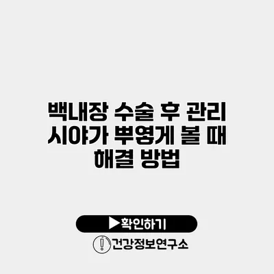 백내장 수술 후 관리 시야가 뿌옇게 볼 때 해결 방법
