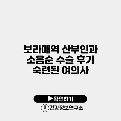 보라매역 산부인과 소음순 수술 후기 숙련된 여의사