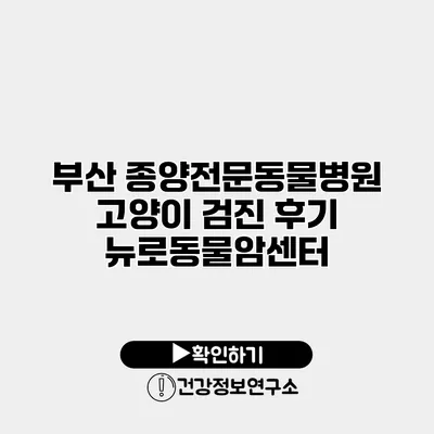 부산 종양전문동물병원 고양이 검진 후기 뉴로동물암센터