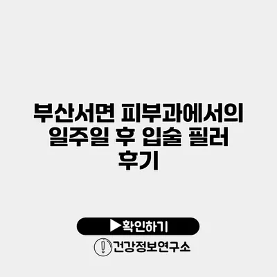부산서면 피부과에서의 일주일 후 입술 필러 후기