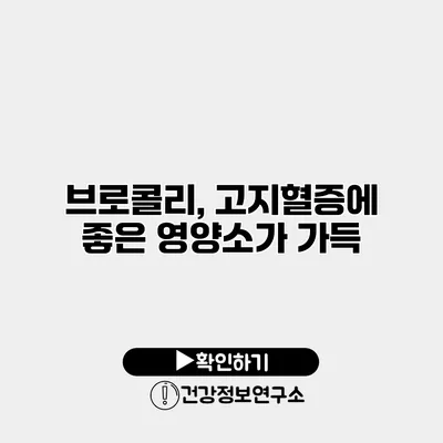 브로콜리, 고지혈증에 좋은 영양소가 가득