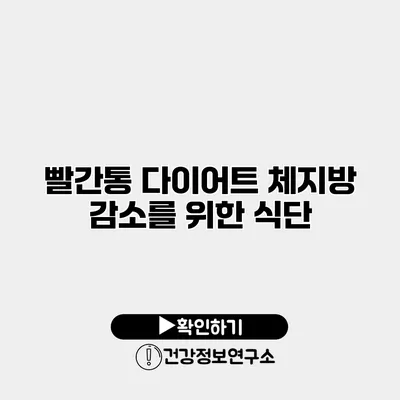 빨간통 다이어트 체지방 감소를 위한 식단