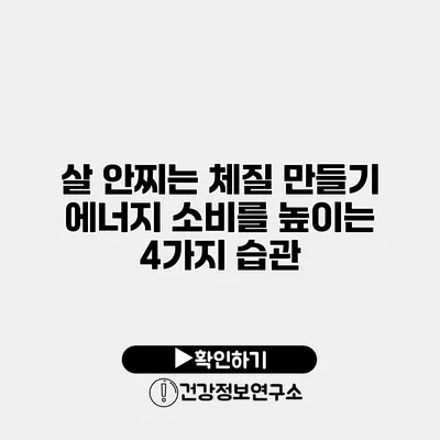 살 안찌는 체질 만들기 에너지 소비를 높이는 4가지 습관