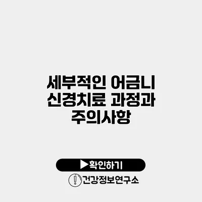 세부적인 어금니 신경치료 과정과 주의사항