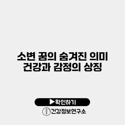 소변 꿈의 숨겨진 의미 건강과 감정의 상징