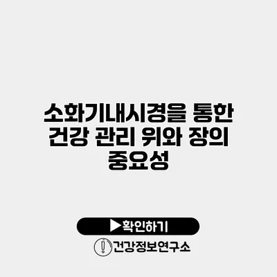 소화기내시경을 통한 건강 관리 위와 장의 중요성