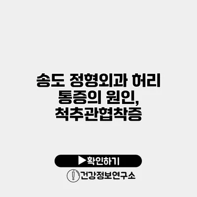송도 정형외과 허리 통증의 원인, 척추관협착증