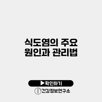 식도염의 주요 원인과 관리법