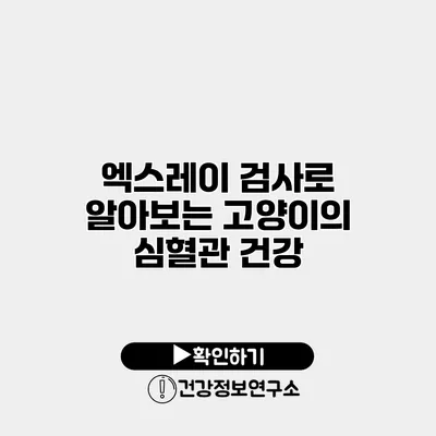 엑스레이 검사로 알아보는 고양이의 심혈관 건강