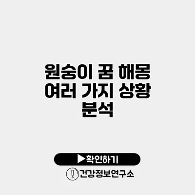 원숭이 꿈 해몽 여러 가지 상황 분석