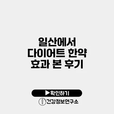 일산에서 다이어트 한약 효과 본 후기
