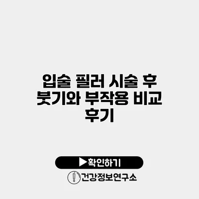 입술 필러 시술 후 붓기와 부작용 비교 후기