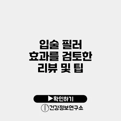 입술 필러 효과를 검토한 리뷰 및 팁