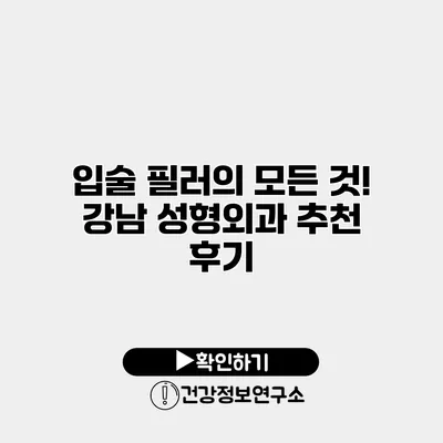 입술 필러의 모든 것! 강남 성형외과 추천 후기