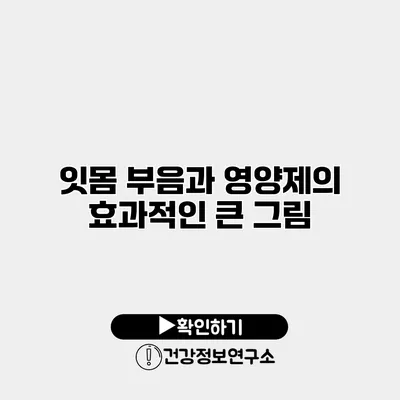 잇몸 부음과 영양제의 효과적인 큰 그림