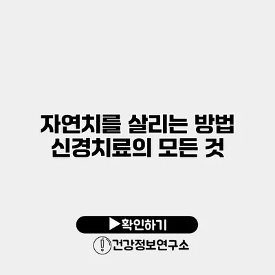 자연치를 살리는 방법 신경치료의 모든 것