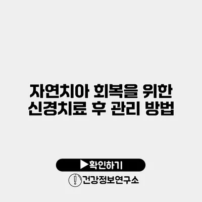 자연치아 회복을 위한 신경치료 후 관리 방법